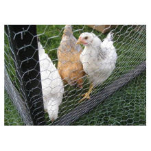 High Quality Rolls Chicken Wire Netting